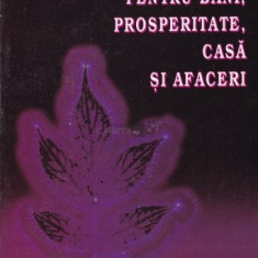 CARTE DE VRAJI - Rugaciuni si ritualuri pentru bani,prosperitate,casa si afaceri