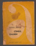 C10699 - CAINELE GALBEN - GEORGES SIMENON