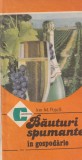 Ion M. Pusca - Bauturi spumante in gospodarie