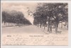 Carte postala circulata in anul 1903 Iasi