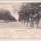 Carte postala circulata in anul 1903 Iasi