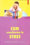 Cum Reactionam la Stres - Sorin Ene, Polirom 2005, Psihologie, 176 Pagini