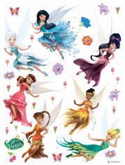 Sticker Zane - Fairies - 65x85cm - DK1769 foto