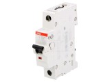 &Icirc;ntrerupător de Supracurent 10A 1P 10kA 230/400V