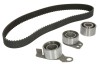 Kit distributie INA 530058110
