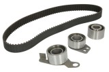 Kit distributie INA 530058110