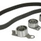 Kit distributie INA 530058110