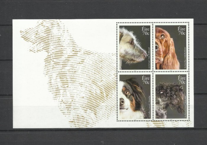 IRLANDA 2016 FAUNA ANIMALE DOMESTICE CAINI