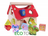 Set Joc Casuta Educationala Multicolora cu Diverse Forme de Sortare si Recunoastere pentru Copii, Ecotoys