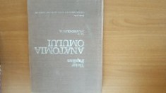 Anatomia omului Splanhnologia vol. 2 - Victor Papilian