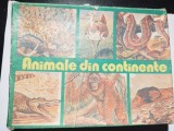 bnk jc Romania - Animale din continente - 1987