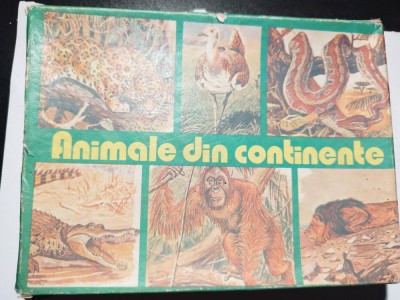 bnk jc Romania - Animale din continente - 1987 foto