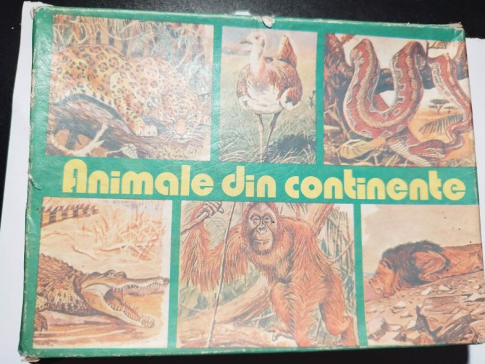 bnk jc Romania - Animale din continente - 1987