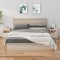 vidaXL Noptiere, 2 buc, 40x35x49 cm, lemn masiv de pin 813710