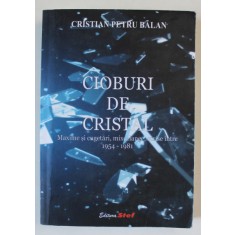 CIOBURI DE CRISTAL , MAXIME SI CUGETARI , MIXCELANEE , SCRISE INTRE 1954 -1981 de CRISTIAN PETRU BALAN , 2017