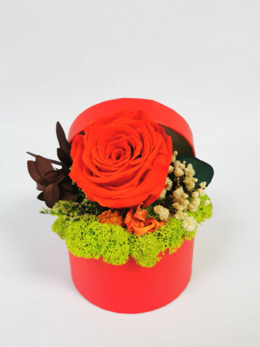 Aranjament floral cu trandafir criogenat, licheni stabilizati in cutie rosie