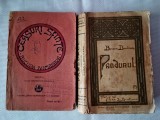 Bucura Dumbrava- Pandurul / Ceasuri sfinte-set 2 carti vechi