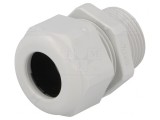 Garnitură de Etanșare Poliamidă Gri NPT3/4 IP68