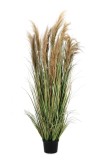 Cumpara ieftin Pampas artificial in ghiveci 80x180 cm