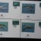 Palau-WWF,FDC fauna marina-set complet