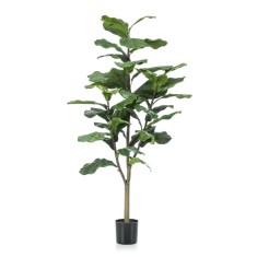 Emerald Ficus artificial Lyrata 120 cm foto