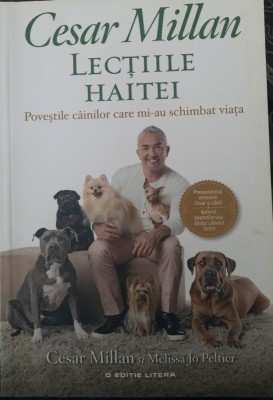 Lecțiile haitei foto