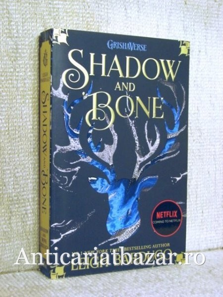Shadow and Bone - Leigh Bardugo