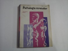 PSIHOLOGIA VIRSTELOR Ciclurile vietii - Ursula SCHIOPU / Emil VERZA