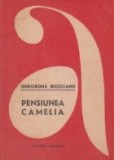 Pensiunea Camelia