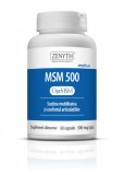 MSM 500 60CPS