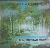 Disc vinil, LP. PAGINI MUZICALE CELEBRE. MUZICA REPREZENTATIVA A ARMATEI-DIRIJOR EMILIAN URSU