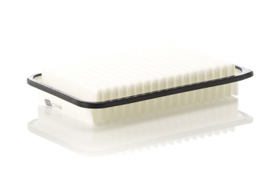 MANN-FILTER C 25 006 Filtru aer foto