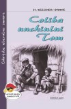 Coliba unchiului Tom - Harriet Beecher Stowe, Roman clasic