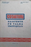 Cusături Valea Trotușului (1973): Modele Cusături Populare Rom&acirc;nești - Colectiv Valerian Ghinet, Constantin Toma