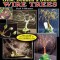 Creating Gem, Beaded &amp; Bonsai Wire Trees: Step by Step Instructions, 400 Photos &amp; Drawings