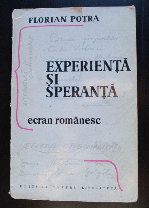 Florian Potra - Experiență și speranță. Ecran rom&acirc;nesc