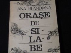 ORASE DE SILABE-ANA BLANDIANA-230 PG- foto