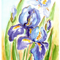 E97. Tablou original, Irisi violet aurii, acuarela pe hartie, neinramat, 21x29cm