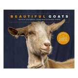 Beautiful Goats