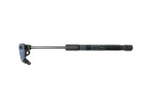 Amortizor capota dreapta față BMW 6 Cabrio F12 2012 OEM: 7309117 22028494