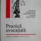 Practica avocatiala. Cereri, aparari, cai de atac &ndash; Andrei Brujan