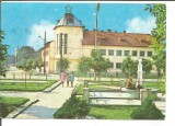 #carte postala-Chisineu Cris-Timisoara-vedere