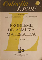 PROBLEME DE ANALIZA MATEMATICA VOL.1 CLASA XI-ION PETRICA, EMIL CONSTANTINESCU, DUMITRU PETRE foto