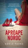 Aproape noroc roman beletristica RAO paperback brosat poveste relatii familie prietenie