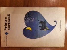 Printre portocali - Vicente Blasco Ibanez foto