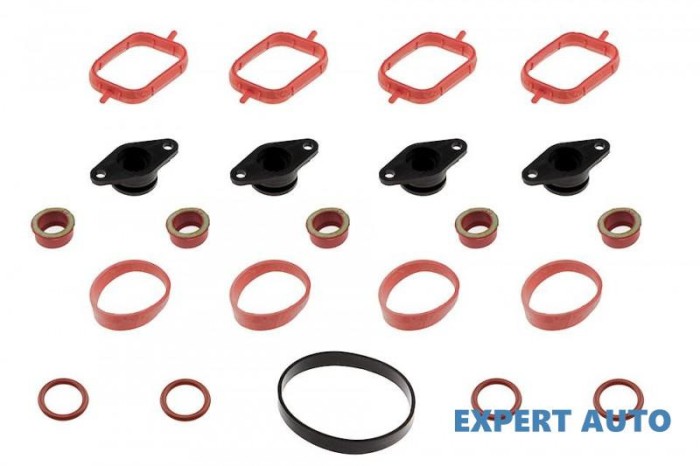 Kit anulare galerie admisie 22mm x 4 dopuri BMW X3 (2004-&gt;) [E83] #1
