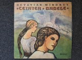 CETATEA BABELE - Octavian Mandrut (DISC VINIL)