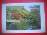 HOPCT 5259 . -JAPONIA -ASIA-NECIRCULATA