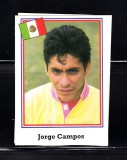 B10 - Sticker fotbal - Campionatul mondial USA - 1994 - nr 341