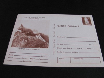 Veverițe, Animale Ocrotite de Lege. Carte Poștală Filatelică Rom&amp;acirc;nia Nefolosită .Colecție Epoca Ceaușescu foto